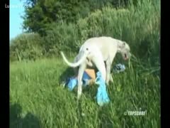 Dirty non-professional aged tramp taking on 2 dogs in this brute sex video